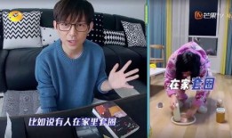 维嘉家世爆料视频