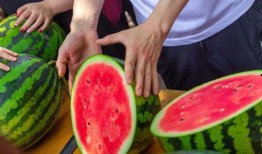 每日吃瓜免费,轻松掌握娱乐圈新鲜事