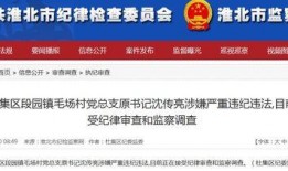 新闻爆料 视频网,揭秘新闻背后惊人真相