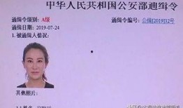 爆料董康媳妇视频播放全集,揭秘背后惊人真相
