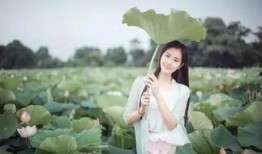 荷花爆料李洋视频,揭秘背后惊人真相