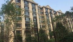 枫丹实景爆料最新消息今天,今日热点聚焦