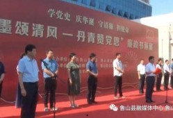 河南都市爆料鲁山新闻视频,都市爆料视频揭露惊人真相