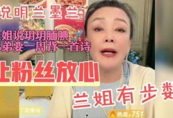 兰姐画图爆料房子视频,房子视频背后的设计灵感与美学