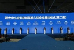 武汉大学今日爆料新闻,揭秘校园重大事件真相