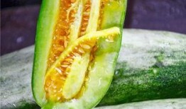 临沂网红吃瓜,揭秘幕后故事与热门话题