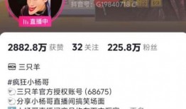 乔欣家世爆料视频播放大全,视频播放大全背后的豪门故事