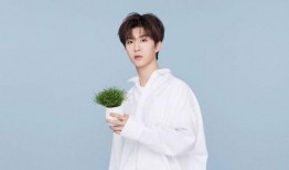 爆料任嘉伦范丞丞视频,幕后真相令人震惊！