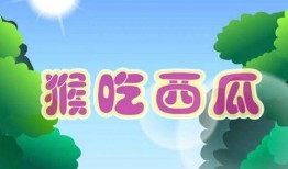 娱乐吃瓜 小故事大全视频,小故事大全视频精选集