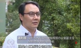 热点爆料深圳新闻联播,聚焦热点事件，解码城市脉搏