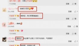爆料娱乐圈的瓜公众号,揭秘明星背后的秘密与真相