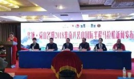 淮南八公山新闻爆料,揭秘八公山神秘事件，探寻历史遗迹新发现