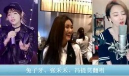 小林娱乐爆料视频在线观看,揭秘热门视频幕后故事