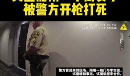 四个女博士爆料视频,职场真相与个人成长历程