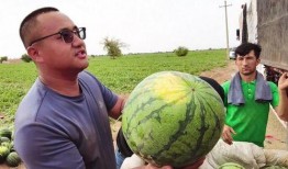 每日吃瓜免费,轻松掌握娱乐圈新鲜事