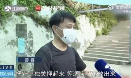 男朋友看网红吃瓜视频