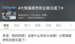 热点爆料投稿话题大全最新,投稿话题大全全解析