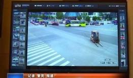科学之伦爆料视频大全集,视频大全集深度解析