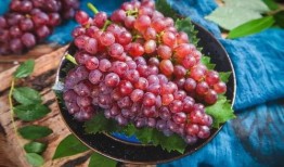 葡萄网红吃瓜,揭秘娱乐圈幕后真相