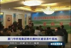 信阳电视台新闻爆料,XX事件背后真相揭晓