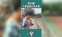 爆料笑话段子搞笑视频,揭秘爆笑段子与搞笑视频背后的欢乐瞬间