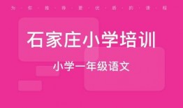 石家庄课外班爆料视频,教育现状与家长焦虑