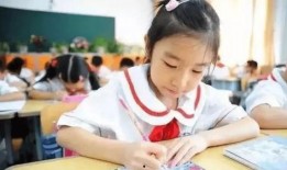 安吉学生菜爆料案件最新,揭开校园食品安全背后的惊人真相