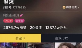 抖音网红视频爆料网站,热门视频背后的真相大起底