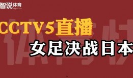 cctv11在线直播观看,尽享精彩文化盛宴