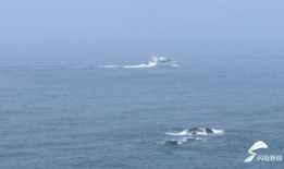 海春潮在线观看,在线观看，感受海洋的壮阔与激情