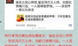 卓伟有没有爆料新闻,揭秘娱乐圈幕后新闻风云