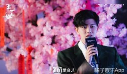 白鹿爆料一生一世视频,揭秘明星背后的情感纠葛