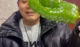 魏县网红吃瓜事件视频,一场网络狂欢背后的真相揭秘