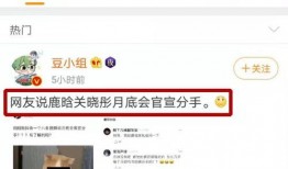 热搜的爆料视频大全,揭秘网络热点背后的真相