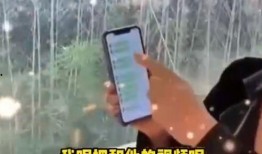 张兰爆料徐妈妈视频,揭秘豪门背后的惊人真相
