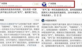 东方粉丝爆料视频大全集,揭秘二次元世界的精彩瞬间