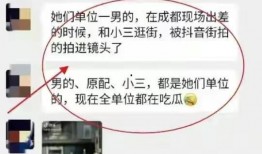 武汉小三爆料事件最新,真相与争议交织的婚姻悬疑剧