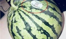 临沂网红吃瓜,揭秘幕后故事与热门话题