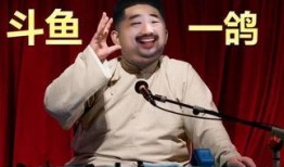 陈安直播间爆料视频下载,揭秘视频背后的惊人真相