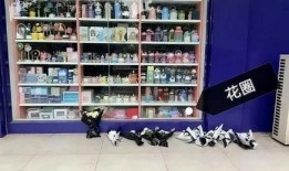 网友爆料文具店视频播放,视频播放背后隐藏的惊人真相！