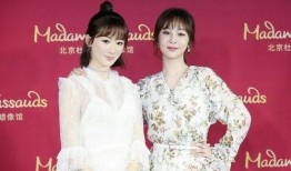 娱乐圈汇总爆料,揭秘明星背后的故事与真相