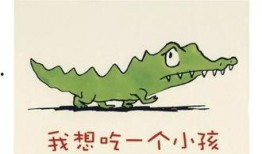 娱乐吃瓜 小故事大全视频,小故事大全视频精选集