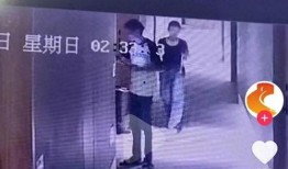 幼儿园园长爆料视频,揭秘幼儿园真实内幕