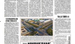 金乡新闻爆料,揭秘当地热点事件背后的真相