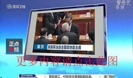 广西水电最新爆料新闻直播,揭秘水电项目进展与争议焦点