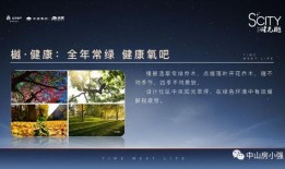 长沙文女士最新爆料,揭秘事件背后惊人真相