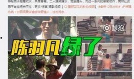 大奇和张君雅爆料视频,幕后真相大起底