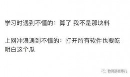 吃瓜陛下知乎全文下载免费阅读,免费阅读背后的故事