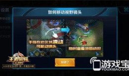 王者爆料小霸王视频大全,小霸王视频大全，揭秘游戏幕后精彩瞬间