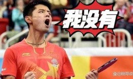 张继科爆料视频大全最新,揭秘赛场背后的真实故事